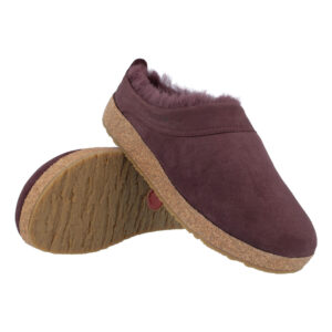 Haflinger - Snowbird aubergine
