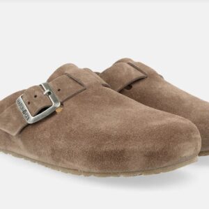 Haflinger - Porto greige