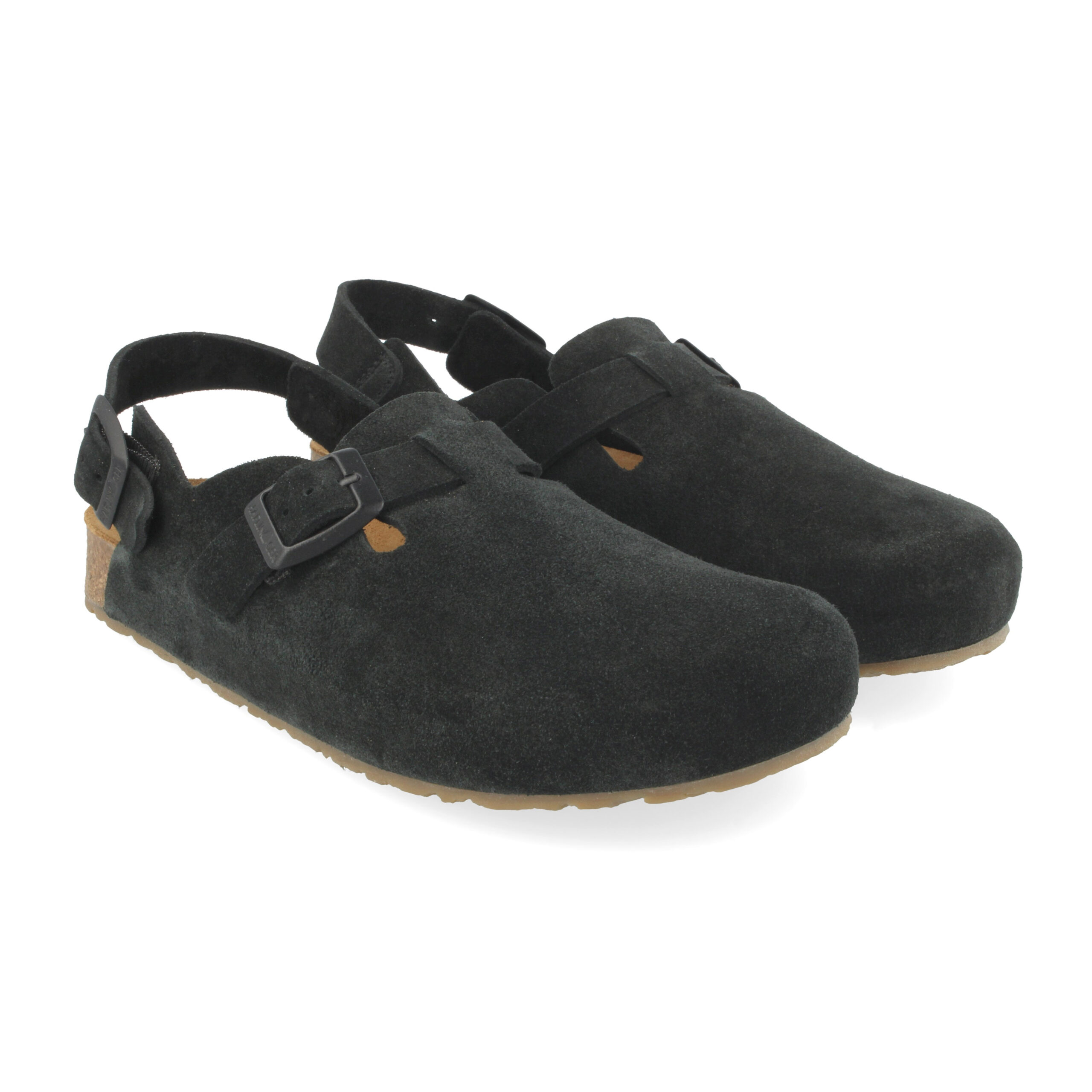 Haflinger - Faro schwarz